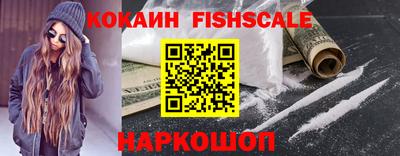 крисы Пенза