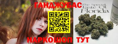 крисы Пенза