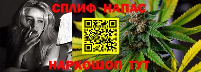крисы Пенза