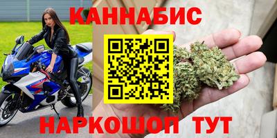 крисы Пенза