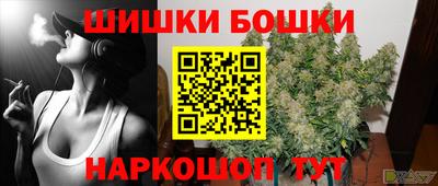 крисы Пенза