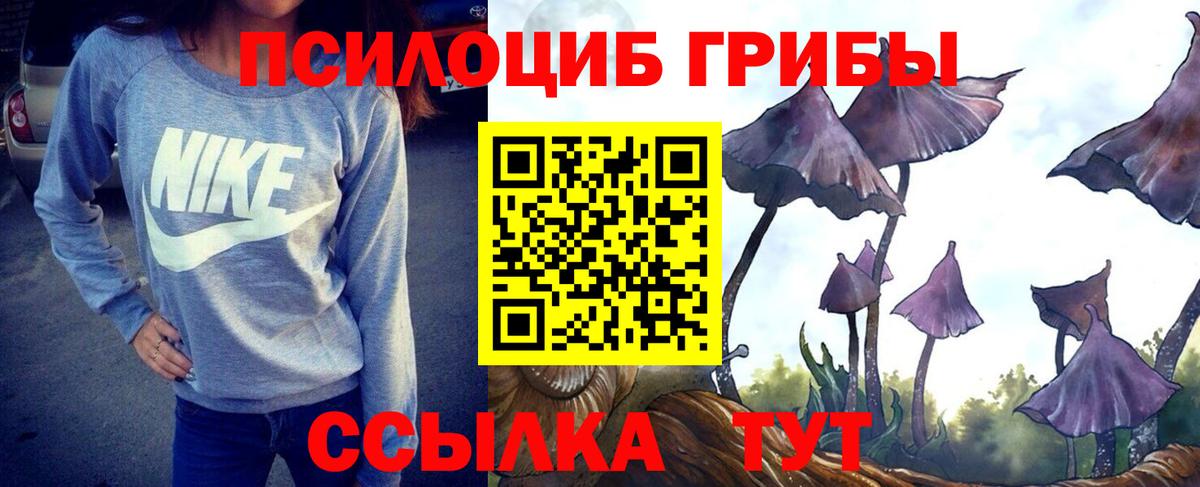 Псилоцибиновые грибы Cubensis  Вход с VPN  Рассказово 